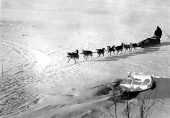 “Forty Mile 1938 All at work” Claude lay in wait, camera ready, for Percy DeWolfe to arrive with the mail in order to get this shot.