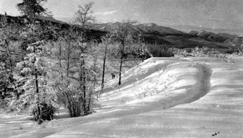 “Imagine us going along this trail, as we often do. What a walk – just outside our door! Do you wonder that we love it?” (Mary's caption).