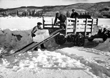 Le camion à glace. 