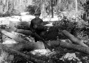 “Getting next winter′s wood March 1938 Forty Mile. Sawing the logs into 4ft lengths.”