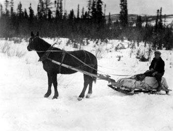 Bouvette et son cheval Keno, vers 1938.