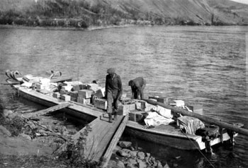 “Loading the Pelly Banks scow at Ross August 1929”