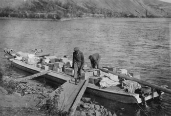 “Loading the Pelly Banks scow at Ross August 1929”