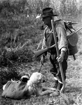 Albert Shultz en compagnie de ses chiens - Claude considérait les 