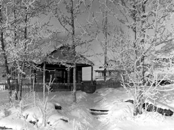 “Taken just outside our house - end of January 1941. Sun very weak but the frost on the trees was beautiful.”

