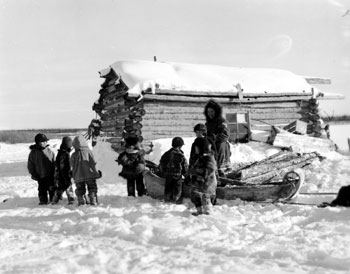 “Some of the youthful element ‘help’ to haul wood.”